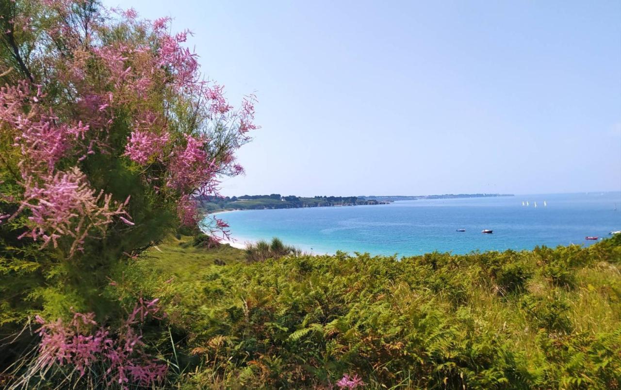 Les Maisons De Kerdavid'Ile - Votre Residence De Vacances A Belle Ile En Mer Locmaria Kültér fotó